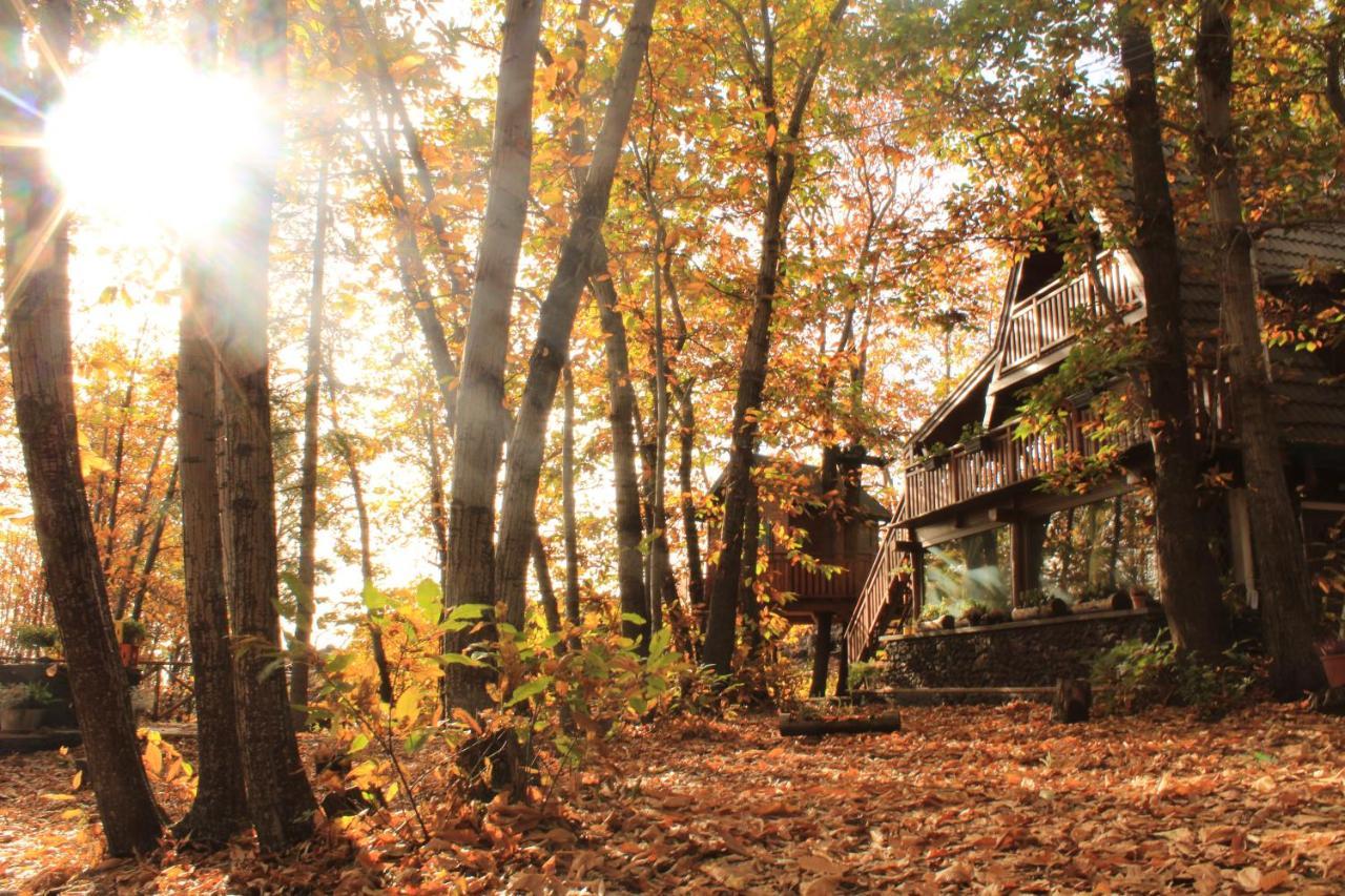 Matilde'S Chalet Etna Nature House Николози Екстериор снимка