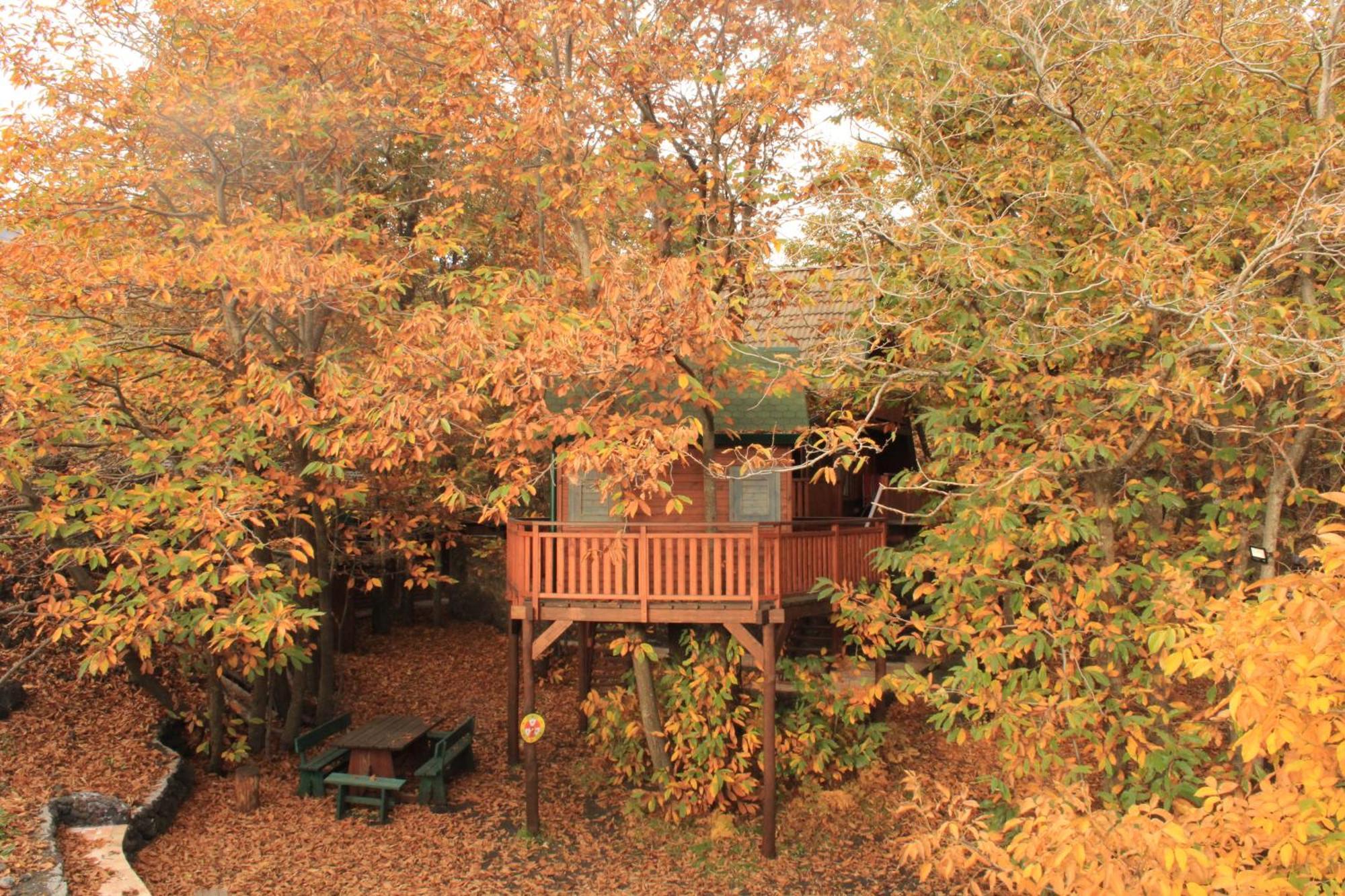 Matilde'S Chalet Etna Nature House Николози Екстериор снимка