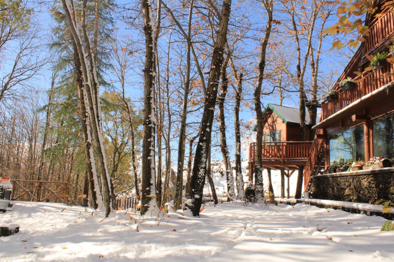 Matilde'S Chalet Etna Nature House Николози Екстериор снимка
