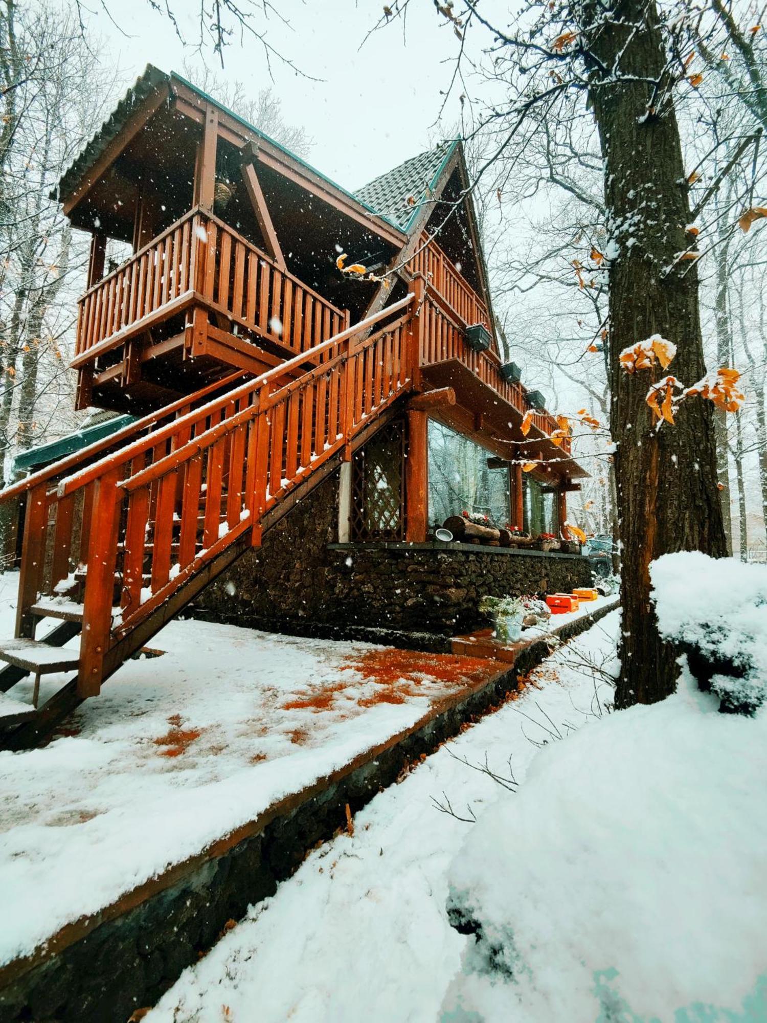 Matilde'S Chalet Etna Nature House Николози Екстериор снимка